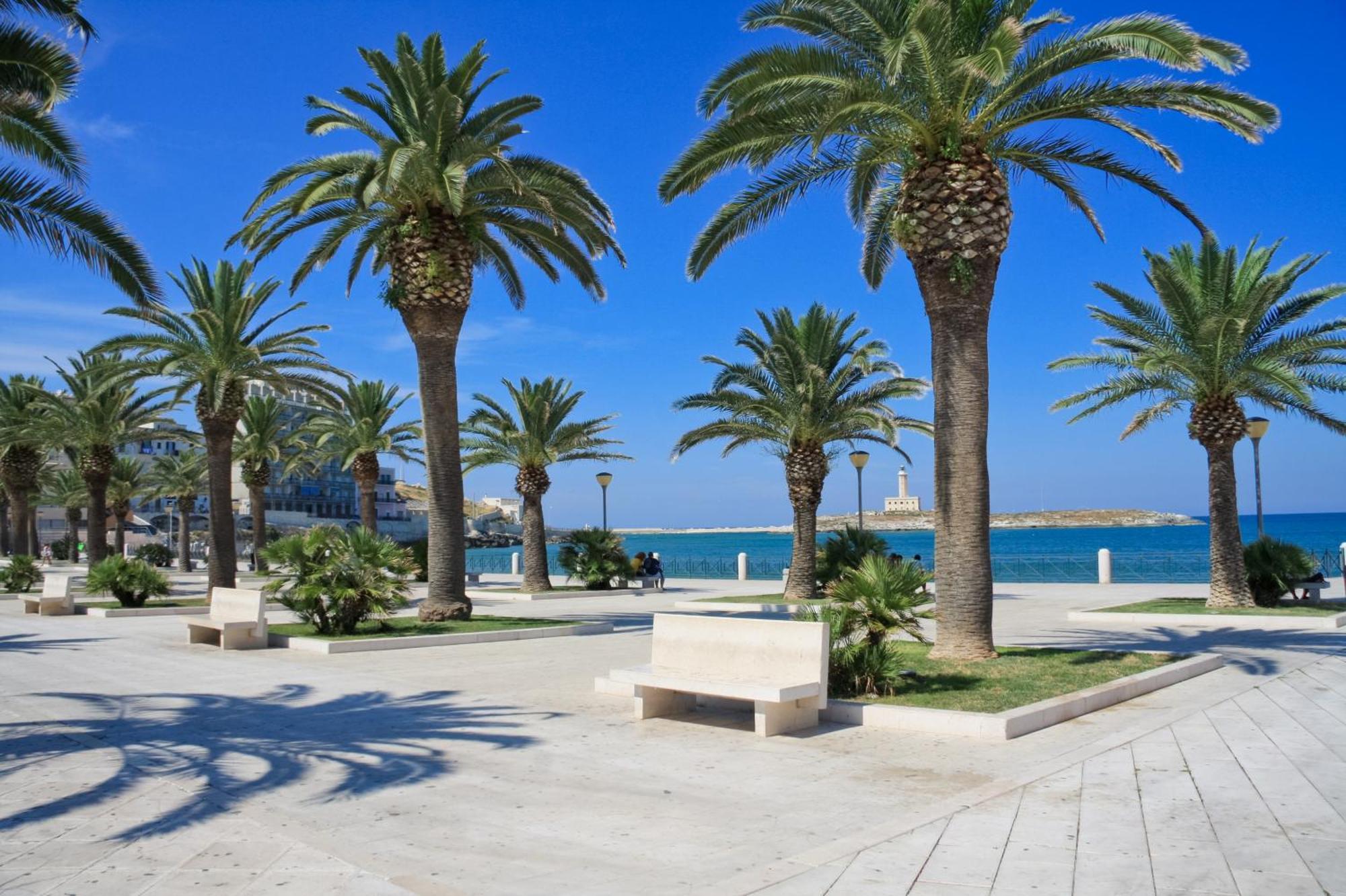 Casa Vacanza Vieste In Centro - Maison Del Borgo 外观 照片
